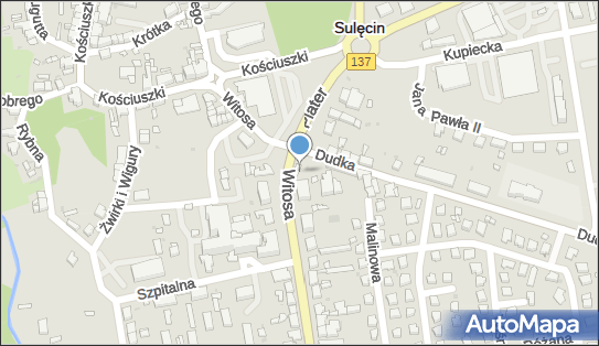 Kiosk Spożywczy, ul. Wincentego Witosa 1, Sulęcin 69-200 - Przedsiębiorstwo, Firma, NIP: 5961238751