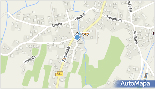 Kiosk Spożywczy, Olszyny 19, Olszyny 32-551 - Przedsiębiorstwo, Firma, NIP: 6281032850