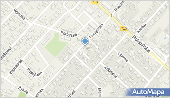 Kiosk Warzywno Spożywczy, Tuszyńska 10, Andrespol 95-020 - Przedsiębiorstwo, Firma, NIP: 7732070127