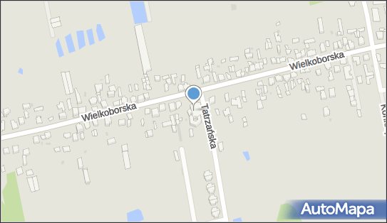 Klasztor O.O.Franciszkanów, ul. Wielkoborska 123, Częstochowa 42-200 - Przedsiębiorstwo, Firma, numer telefonu, NIP: 5732315562
