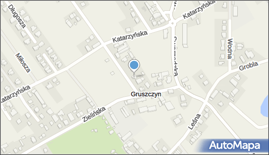 Klinika Kręgosłupa, Mechowska 6, Gruszczyn 62-006 - Przedsiębiorstwo, Firma, numer telefonu, NIP: 9721201816
