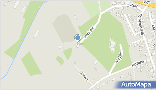 9141208670, Klub Sportowy Strzelinianka 