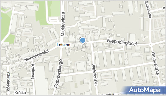 6972203490, Klub Sportowy Team Łabędzki Leszno 