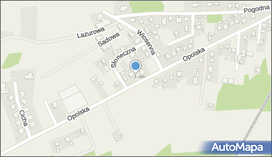 9910064295, Kluczny Roman 