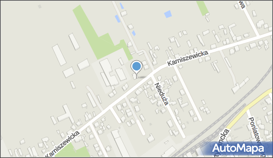 KM Trans Przemysław Krupa Michał Morzyszek, Karniszewicka 71 95-200 - Przedsiębiorstwo, Firma, NIP: 7311971689
