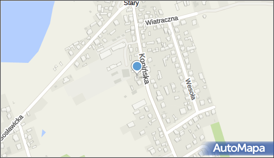 Knycpel Jan, ul. Konińska 29, Licheń Stary 62-563 - Przedsiębiorstwo, Firma, NIP: 6651430934
