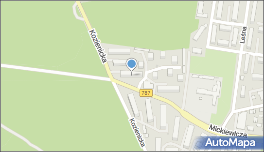 Kobylas Natanel, ul. Adama Mickiewicza 55, Pionki 26-670 - Przedsiębiorstwo, Firma, numer telefonu, NIP: 8121832399