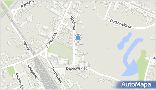 Kodak Digital Studio, Słodowa 10, Wolsztyn 64-200 - Przedsiębiorstwo, Firma, NIP: 9230023860