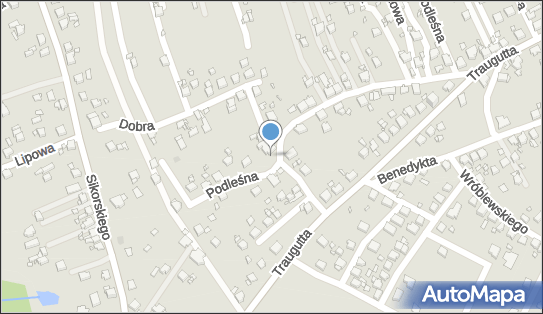 Kohut Mariusz Divine Pixels, Podleśna 63, Rydułtowy 44-280 - Przedsiębiorstwo, Firma, NIP: 6472377809