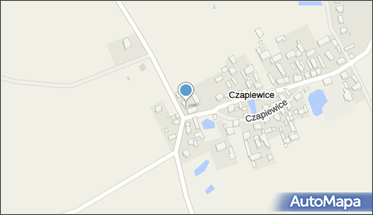 Kółko Rolnicze w Czapiewicach, Czapiewice 4, Czapiewice 89-632 - Przedsiębiorstwo, Firma, numer telefonu, NIP: 5552110290