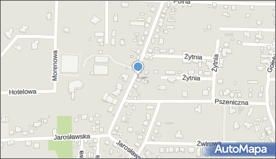 Kolorek Władysław Gorzyński, ul. Stefana Czarnieckiego 67 62-040 - Przedsiębiorstwo, Firma, NIP: 7771504417