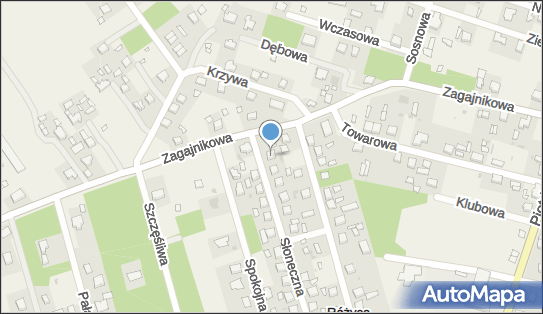 7282544966, Koluszkowskie Stowarzyszenie Upowszechniania Chumoru 