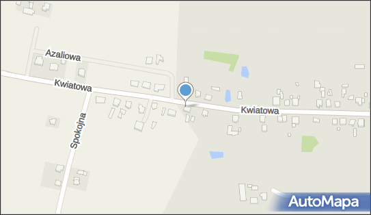 130968927, Kolwicz Andrzej-Ośrodek Szkolenia Kierowców Lider-Trans 