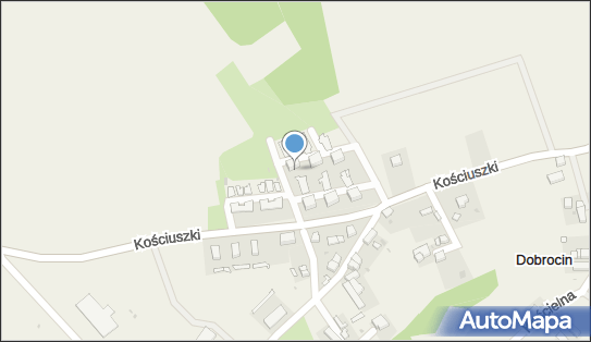 8822120527, Komitet Wyborczy Wyborców Agnieszki Pałajskiej 