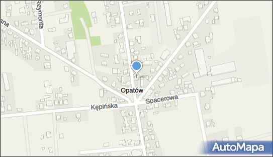 Komitet Wyborczy Wyborców Marka Kowalskiego, ul. Poznańska 80 63-645 - Przedsiębiorstwo, Firma, numer telefonu, NIP: 6192021543