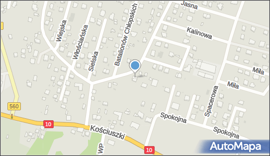 Komitet Wyborczy Wyborców Zgoda w Samorządzie, ul. Powstańców 10 09-200 - Przedsiębiorstwo, Firma, numer telefonu, NIP: 7761699678