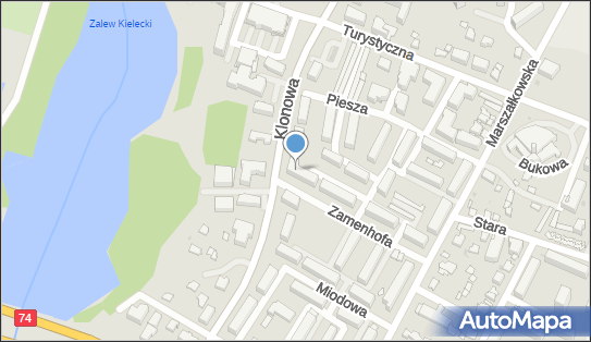 Koncesjonowany Przewóz Towarów, ul. Ludwika Zamenhofa 8, Kielce 25-555 - Przedsiębiorstwo, Firma, NIP: 6571021636