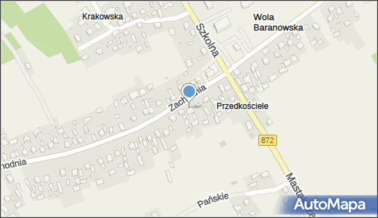 Konfekcjonowanie i Malowanie Wyrobów Firankowych, Zachodnia 11 39-451 - Przedsiębiorstwo, Firma, NIP: 8671968632