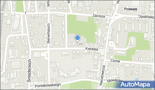 Koni Krzysztof Szyszkowiak, ul. Kazimierza Karasia 14A, Leszno 64-100 - Przedsiębiorstwo, Firma, NIP: 6970017056