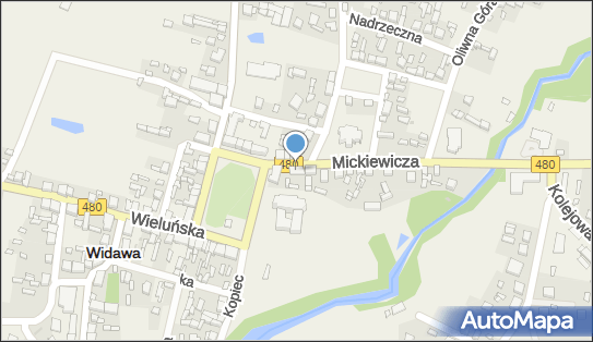 Kopciuszek, ul. Mickiewicza 2A, Widawa 98-170 - Przedsiębiorstwo, Firma, NIP: 8311537953