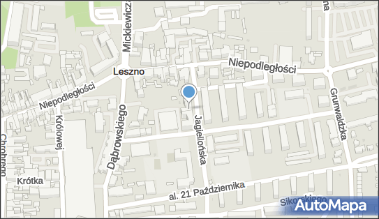 410328921, Korepetycje Aleksandra Górska, Leszno 