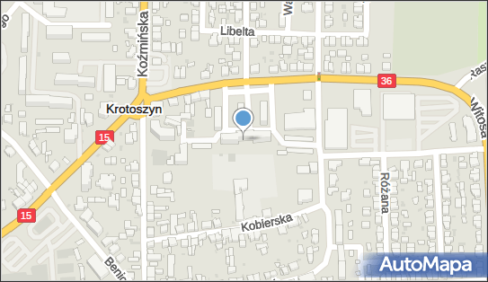 6210031659, Korepetycje z J.Obcych - Aleksander Zielonka 