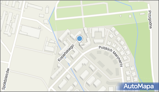 8571887377, Kosmetologia Pielęgnacyjna i Zachowawcza Marcelina Michnicz 
