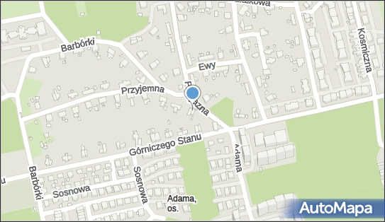 Kostorz Janina Handel Obwoźny, ul. Przyjemna 11A, Katowice 40-486 - Przedsiębiorstwo, Firma, NIP: 9541830261