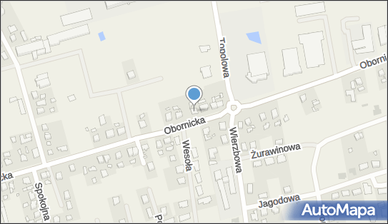 kosztwydruku.pl Krystyna Wolko, Obornicka 36, Rokietnica 62-090 - Przedsiębiorstwo, Firma, NIP: 7771509188