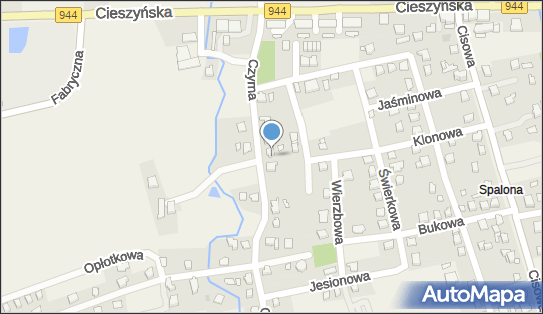 5472071116, Koszulka PL Mieszko Michał Makówka i Mikołaj Makówka 
