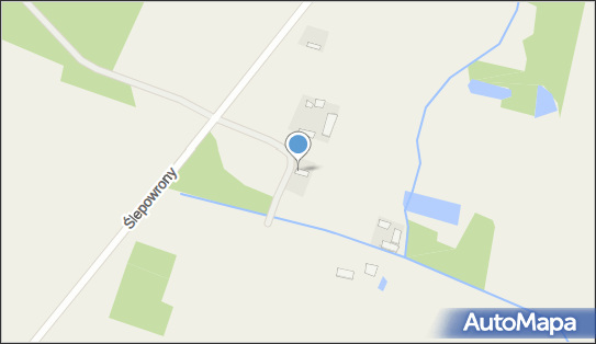 450200437, Koszykarstwo - Popławski Tadeusz 