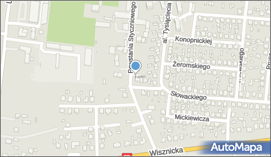 5381615071, Kot Dorota 