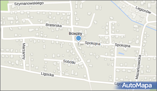 Kowalczyk Łukasz Invidia Łukasz Kowalczyk, Stawowa 55 43-502 - Przedsiębiorstwo, Firma, NIP: 6521609669