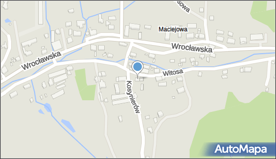6111162335, Usługi Transportowe Dariusz Kowalczykowski 