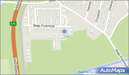 6443023635, Kozieł Marcin 