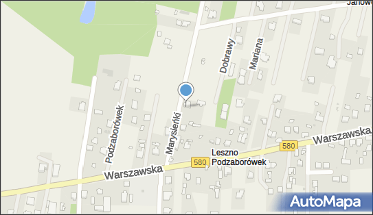 5290012183, Krajowy Transport Drogowy, Mateusiak Tadeusz 