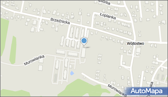 Krakowskie Klimaty P Laskowski D Laskowski, Brzeźnicka 55D 32-700 - Przedsiębiorstwo, Firma, NIP: 6762360496