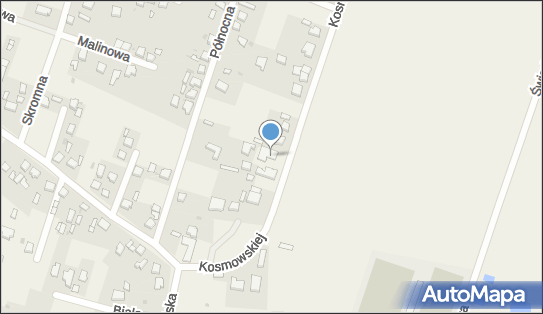 Krawgors, ul. Kosmowskiej 15, Ksawerów 95-054 - Przedsiębiorstwo, Firma, NIP: 7282314203