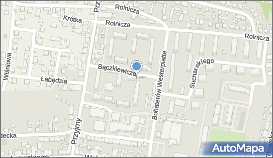 6991379497, Krawiectwo Lekkie Helena Milewska, Rawicz 