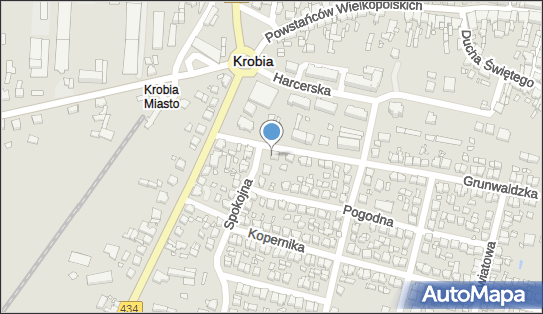 Krobia, Grunwaldzka 48, Krobia 63-840 - Przedsiębiorstwo, Firma, NIP: 9720176884