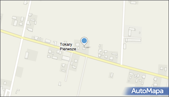 Krystian Musiałowski Przedsiębiorstwo Handlowo- Usługowe 62-704 - Przedsiębiorstwo, Firma, NIP: 6681707808