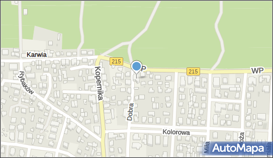 9581231325, Krystyna Dałek, Złota Rybka Gastronomia, Wynajem Pokoi 