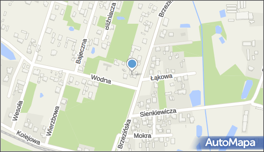 Krystyna Tkaczyk - Działalność Gospodarcza, ul. Brzezińska 18 95-020 - Przedsiębiorstwo, Firma, NIP: 7281804632