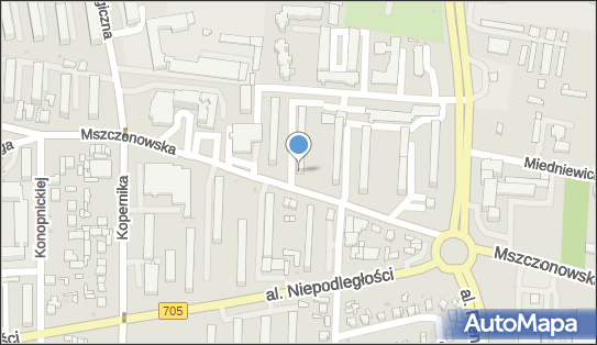 Krystyna Wojciechowska - Działalność Gospodarcza, Skierniewice 96-100 - Przedsiębiorstwo, Firma, NIP: 8360002347