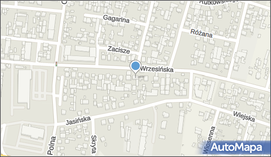 Krystyna Zgórecka, Wrzesińska 60, Swarzędz 62-020 - Przedsiębiorstwo, Firma, NIP: 7772238857