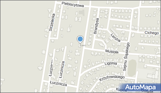 Krzystolik Indywidualna Praktyka Lekarska, ul. Łowiecka 27 43-200 - Przedsiębiorstwo, Firma, NIP: 6381640299