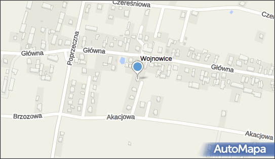 021724210, Krzysztof Błoniecki Autopart-Wrocław 
