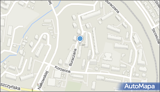 5861632589, Krzysztof Duch Taksówka Osobowa nr Boczny 597 