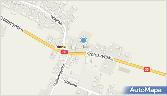Krzysztof Gabrysiak Auto Naprawa, ul. Krotoszyńska 115, Biadki 63-714 - Przedsiębiorstwo, Firma, NIP: 6211547282