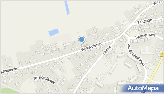 Krzysztof Kieczmerski PPH Kieczmerski, Wyzwolenia 27, Paterek 89-100 - Przedsiębiorstwo, Firma, NIP: 5580002856